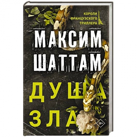 Зарубежный детектив, книга Душа зла купить по низкой цене