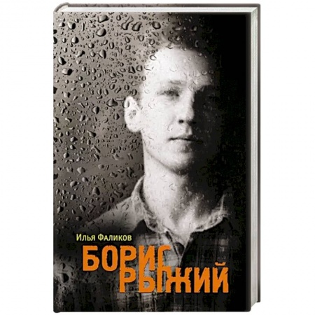 Мемуары, биографии деятелей культуры, искусства, книга Борис Рыжий. Дивий камень купить по низкой цене