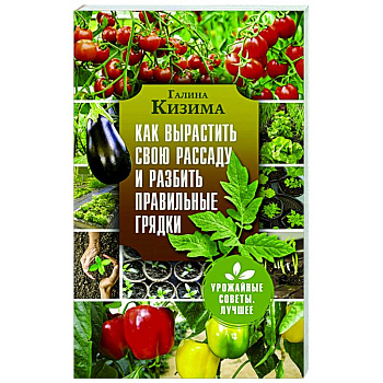 Как вырастить свою рассаду и разбить правильные грядки