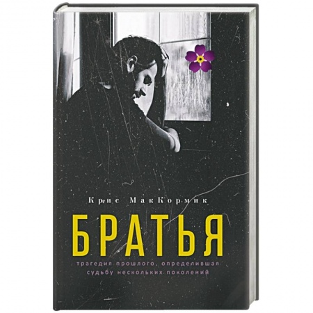 Зарубежная современная проза, книга Братья купить по низкой цене