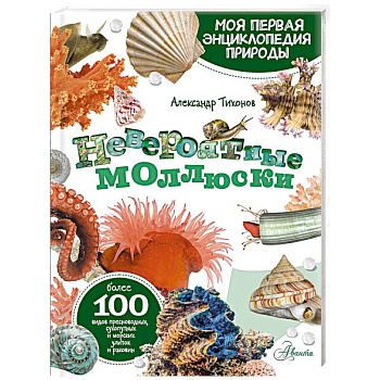 Невероятные моллюски
