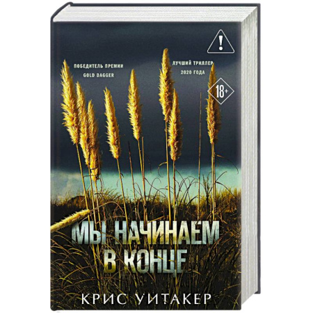 Зарубежный детектив, книга Мы начинаем в конце (формат клатчбук) купить по низкой цене
