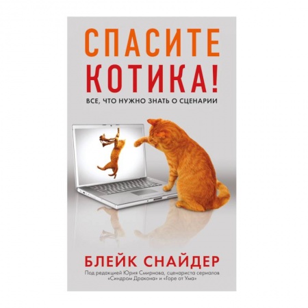 Литературная критика, книга Спасите котика! Все, что нужно знать о сценарии купить по низкой цене