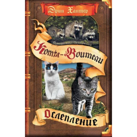 Мистика. Фантастика. Фэнтези, книга Ослепление купить по низкой цене