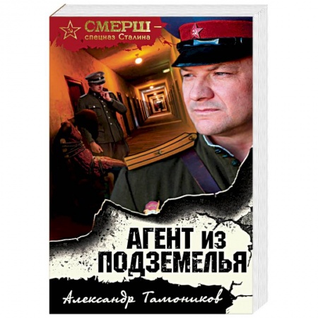 Отечественный мужской детектив, книга Агент из подземелья купить по низкой цене