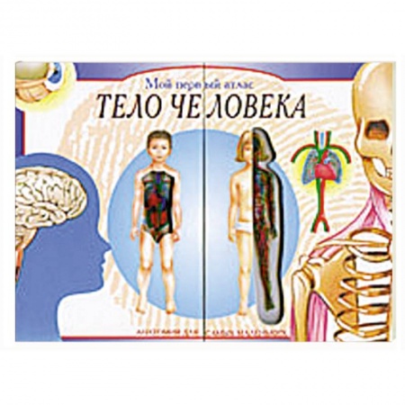 Книги, книга Мой первый атлас: Тело человека. Анатомия для самых маленьких купить по низкой цене