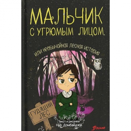 Сказки зарубежных писателей, книга Мальчик с угрюмым лицом, или необычайная лесная история купить по низкой цене