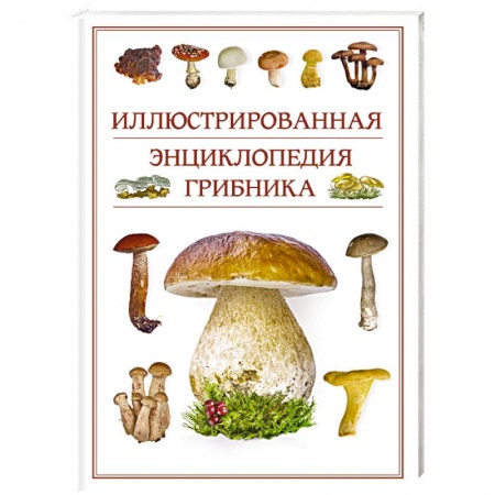 Грибы. Справочники. Определители, книга Иллюстрированная энциклопедия грибника. купить по низкой цене
