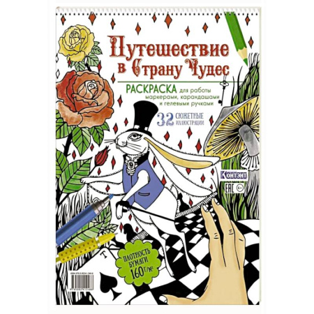 Герои зарубежных мультфильмов, книга Путешествие в Страну чудес. Раскраска купить по низкой цене