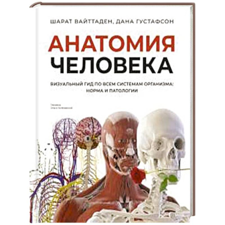 Медицинские энциклопедии и справочники, книга Анатомия человека. Визуальный гид по всем системам организма: норма и патологии купить по низкой цене