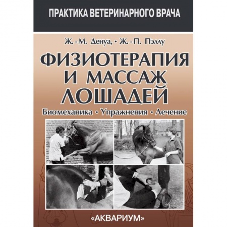 Ветеринария, книга Физиотерапия и массаж лошадей. Биомеханика. Уражнения. Лечение купить по низкой цене