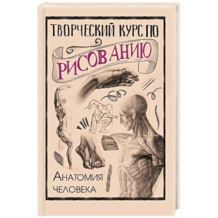 Книги, книга Творческий курс по рисованию. Анатомия человека купить по низкой цене
