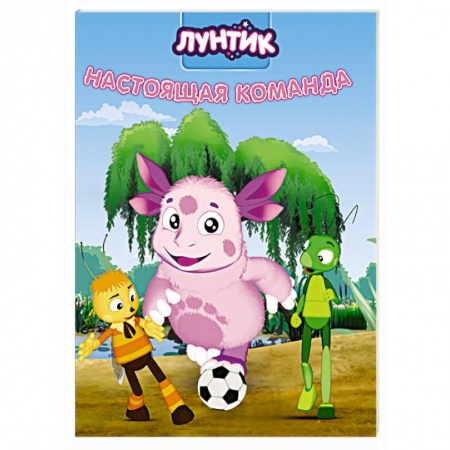 Книги для дошкольников (4-6 лет), книга Лунтик. Настоящая команда купить по низкой цене
