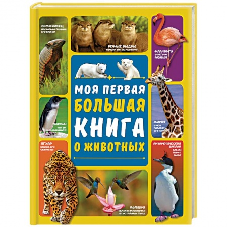 Животный и растительный мир, книга Моя первая большая книга о животных купить по низкой цене