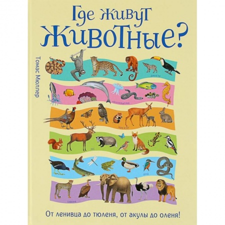Животный и растительный мир, книга Где живут животные? От ленивца до тюленя, от акулы до оленя! купить по низкой цене