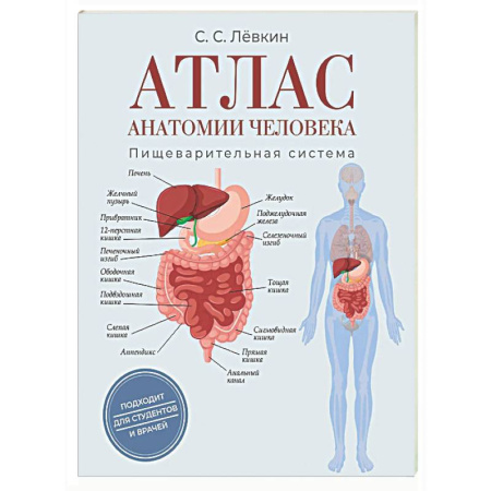 Анатомия и физиология человека, книга Атлас анатомии человека. Пищеварительная система купить по низкой цене