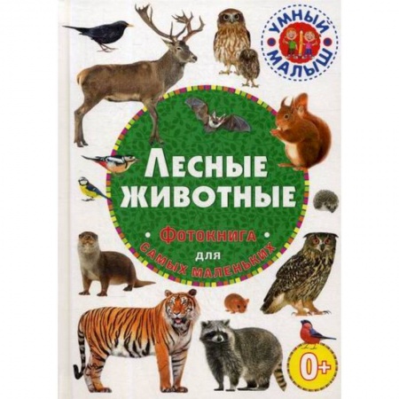 Животный и растительный мир, книга Лесные животные купить по низкой цене