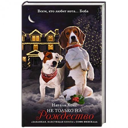 Зарубежный любовный роман, книга Не только на Рождество купить по низкой цене