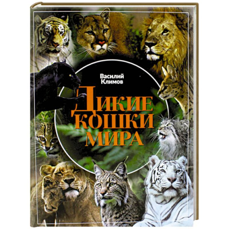 Кошки, книга Дикие кошки мира купить по низкой цене