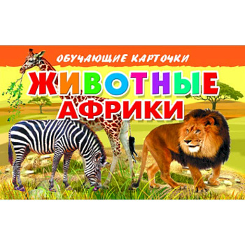 Карточки. Животные Африки