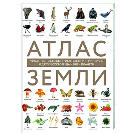 Общие справочники, книга Атлас Земли. Животные, растения, грибы, бактерии, минералы и другие сокровища нашей планеты купить по низкой цене