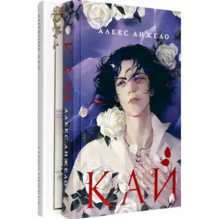 Зарубежное фэнтези, книга Комплект Кай + Арт-блокнот Дневник Кая купить по низкой цене