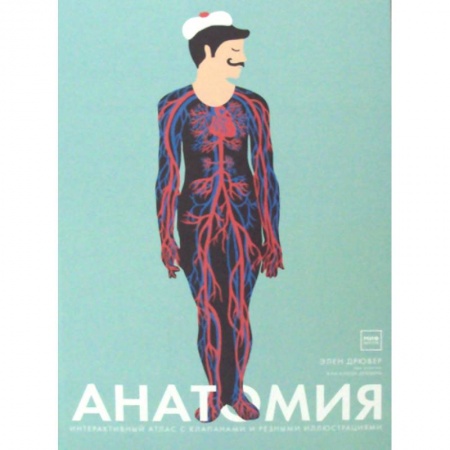 Познавательная литература, книга Анатомия купить по низкой цене