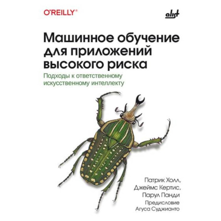 Информационные технологии, книга Машинное обучение для приложений высокого риска купить по низкой цене