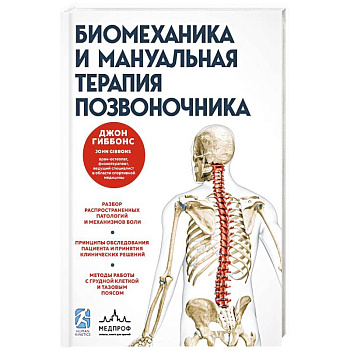 Биомеханика и мануальная терапия позвоночника