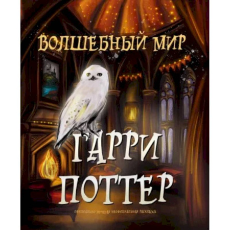 Герои зарубежных мультфильмов, книга Волшебный мир Гарри Поттера. Раскраска купить по низкой цене
