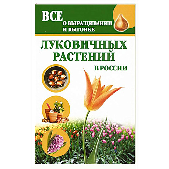 Все о выращивании и выгонке луковичных растений в России