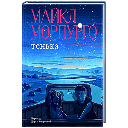 Повести и рассказы о детях, книга Тенька купить по низкой цене