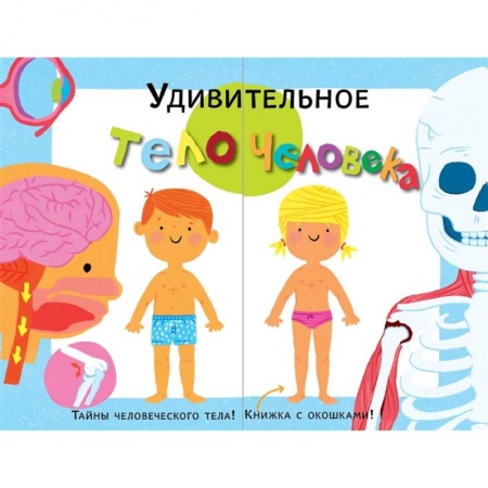 Познавательная литература, книга Удивительное тело человека купить по низкой цене