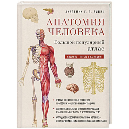 Анатомия и физиология человека, книга Анатомия человека: большой популярный атлас купить по низкой цене