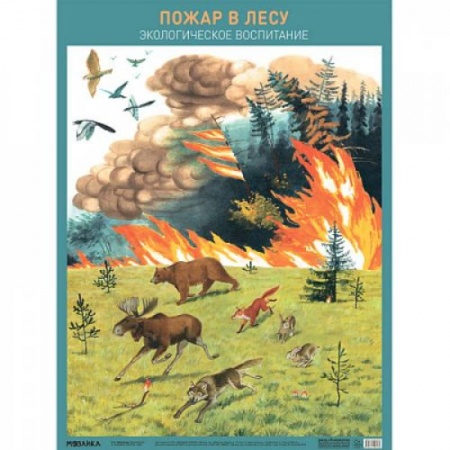 Познавательная литература, книга Пожар в лесу. Экологическое вопитание купить по низкой цене