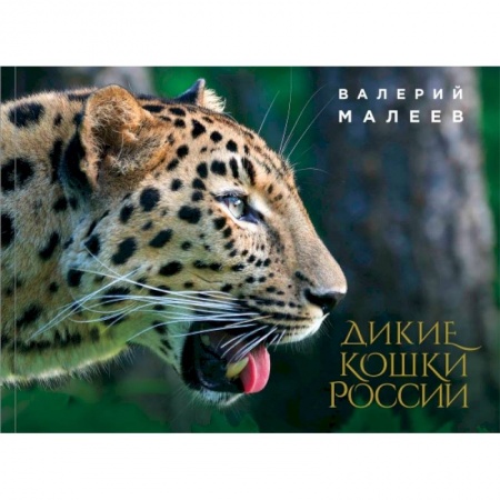 Зоология, книга Дикие кошки России: иллюстрированный авторский фотоальбом купить по низкой цене