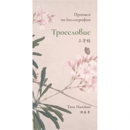 Учебники, самоучители, пособия, книга Сто фамилий. Прописи по каллиграфии купить по низкой цене