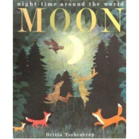 Чтение на английском языке, книга Patricia Hegarty: Moon купить по низкой цене
