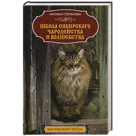Колдовство. Практическая магия, книга Школа сибирского чародейства и волшебства купить по низкой цене