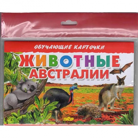 Животный и растительный мир, книга Животные Австралии купить по низкой цене