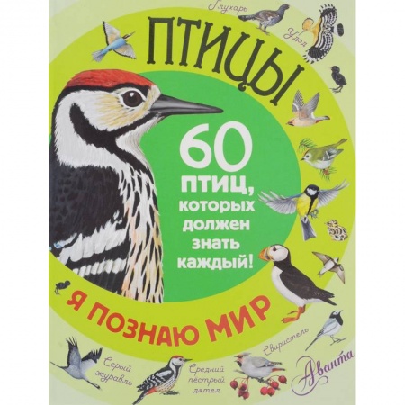 Книги, книга Птицы. 60 птиц, которые должен знать каждый купить по низкой цене