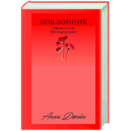Отечественный любовный роман, книга Поклонник купить по низкой цене