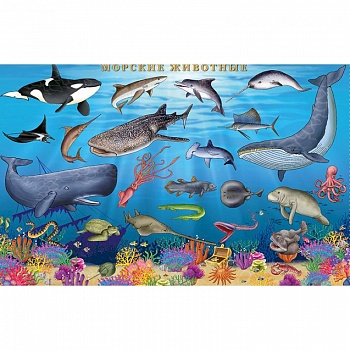 Морские животные. Цифры и факты. Настольное издание