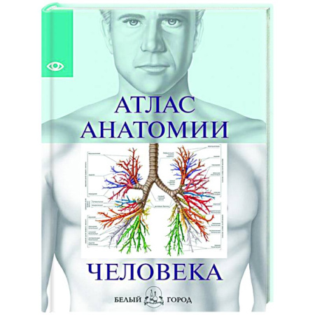 Анатомия и физиология человека, книга Атлас анатомии человека купить по низкой цене
