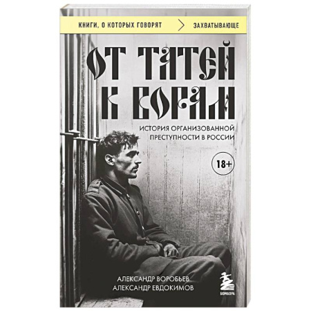 Криминал, книга От татей к ворам: история организованной преступности в России. купить по низкой цене
