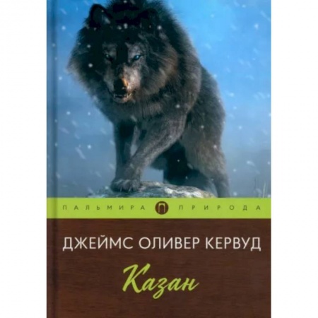Зарубежная классика, книга Казан купить по низкой цене