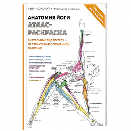 Спорт. Фитнес, книга Анатомия йоги: атлас-раскраска. Визуальный гид по телу — от структуры к осознанной практике купить по низкой цене