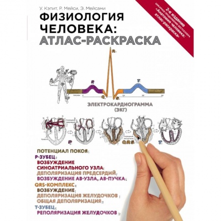 Медицинские энциклопедии и справочники, книга Физиология человека: атлас-раскраска купить по низкой цене