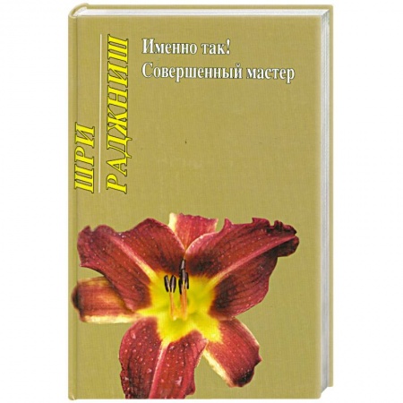 Книги, книга Именно так! Совершенный мастер купить по низкой цене