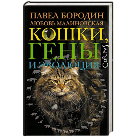 Зоология, книга Кошки, гены и эволюция купить по низкой цене